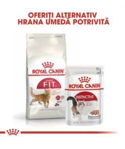hrana uscata pisici royal canin fit