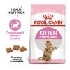 hrana uscata pisici sterilizate royal canin kitten sterilised