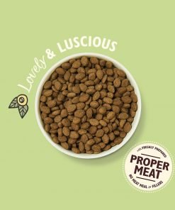 Hrana uscata caini Lily's Kitchen Dog Adult Lamb