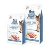 Hrana uscata caini Brit Care Cat GF Large Cats Power and Vitality