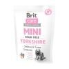 brit care yorkshire dog