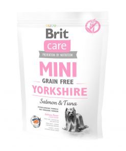 brit care yorkshire dog